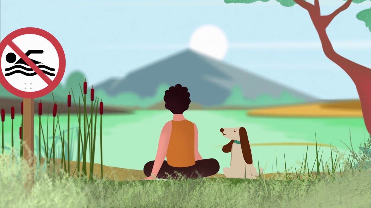 Cleaning our lakes animation