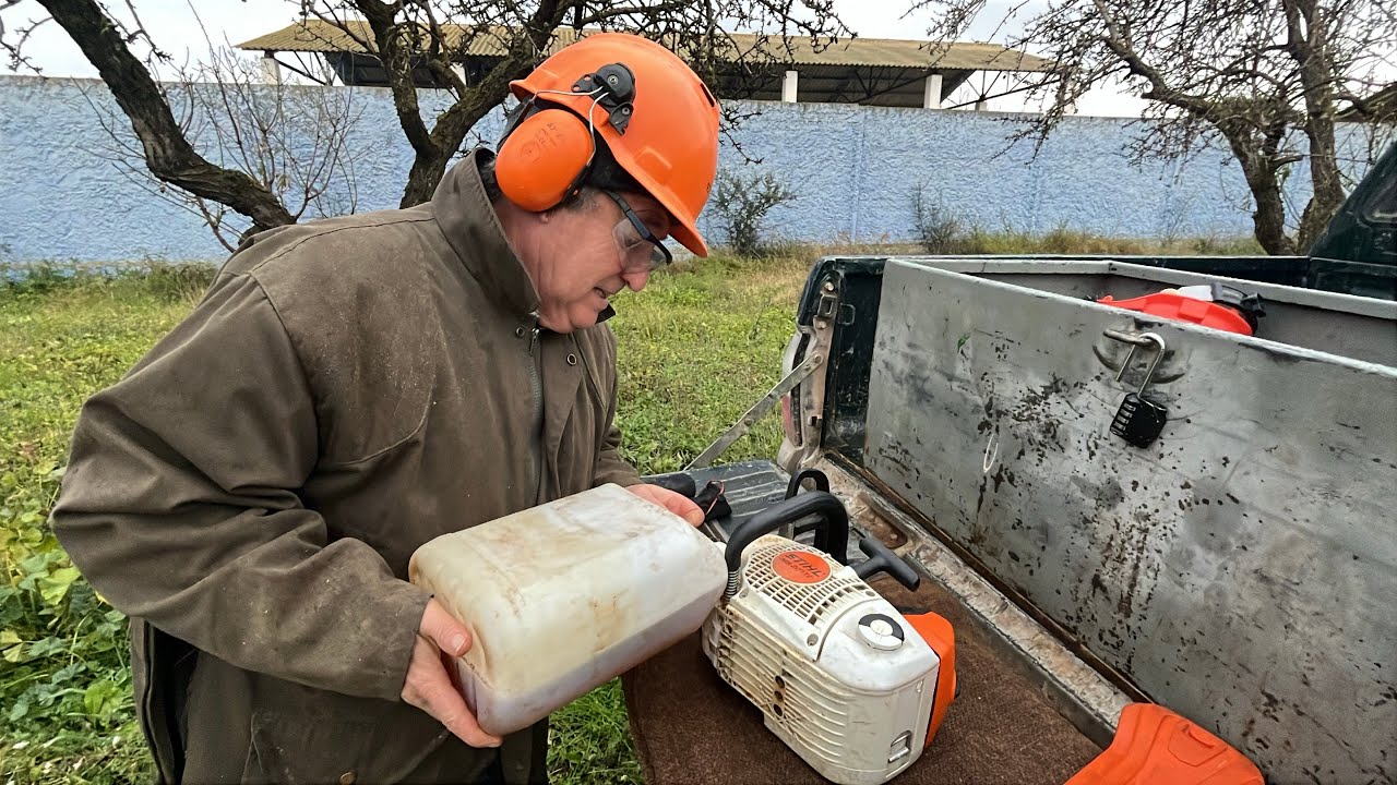 Casos prácticos para la Poda del Almendro Pt1