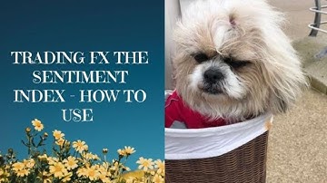 How and when to use the MT4 Sentiment Indicator - free FX indicators