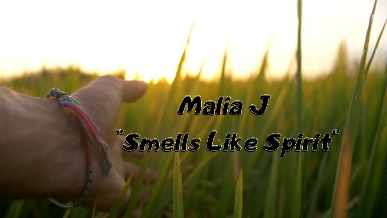 Smells like ремикс. Smells like teen Spirit Malia j. Malia j.