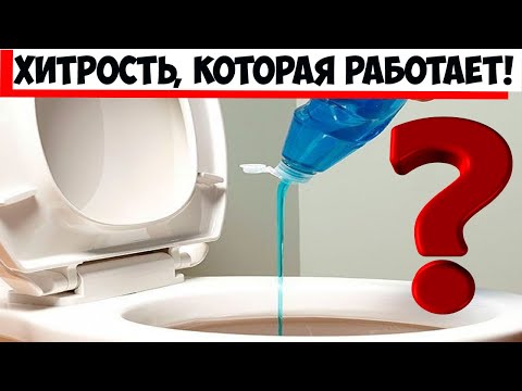 Видео: Наливать ли жидкость для мытья посуды в унитаз?