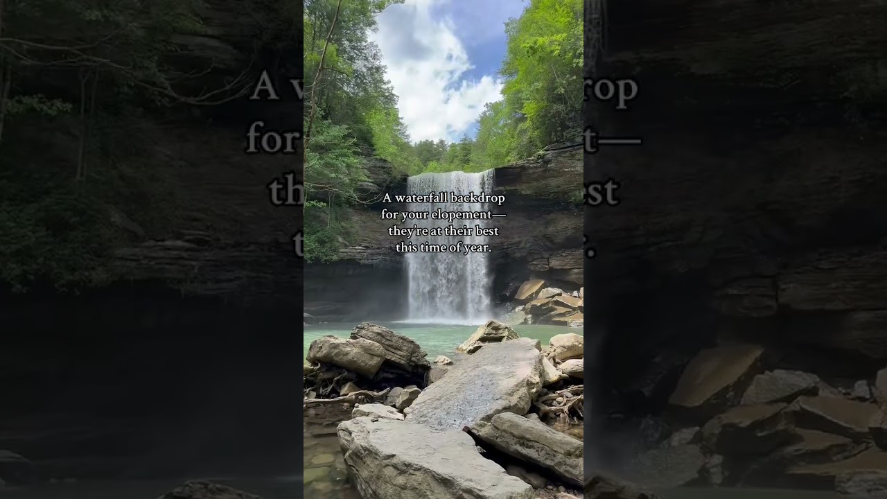 Tennessee elopement in the spring 