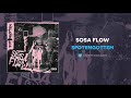 Spotemgottem  sosa flow audio