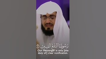 مَٓا اَصَابَ مِنْ مُص۪يبَةٍ اِلَّا بِاِذْنِ اللّٰهِۜ || سورة التغابن 😥