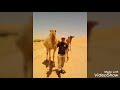 روعات عمي مخلوف مع الأحصنة و قصيدة ممتعة روعات عمي مخلوف مع الأحصنة و قصيدة ممتعة