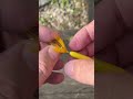 Rooster Tail Inline Spinner 5 14 2025 #jeffmcgovern #pestcoach #oldfishinglures #roostertails