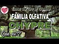 FAMILIA OLFATIVA CHYPRE QUE ES?LUNES DE EVE TE EXPLICA