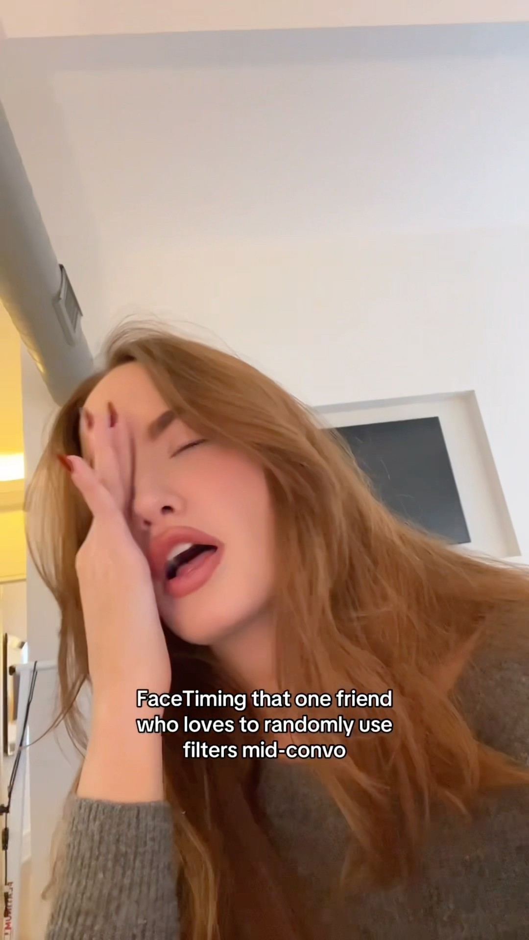 That one friend who loves FaceTime filters ???
