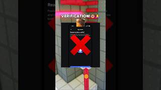 Roblox Age Verification Is Crazy...