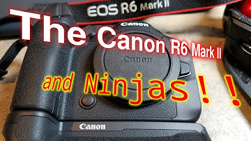 The Canon EOS R6 Mark II and Ninjas | DaVinci Resolve 18