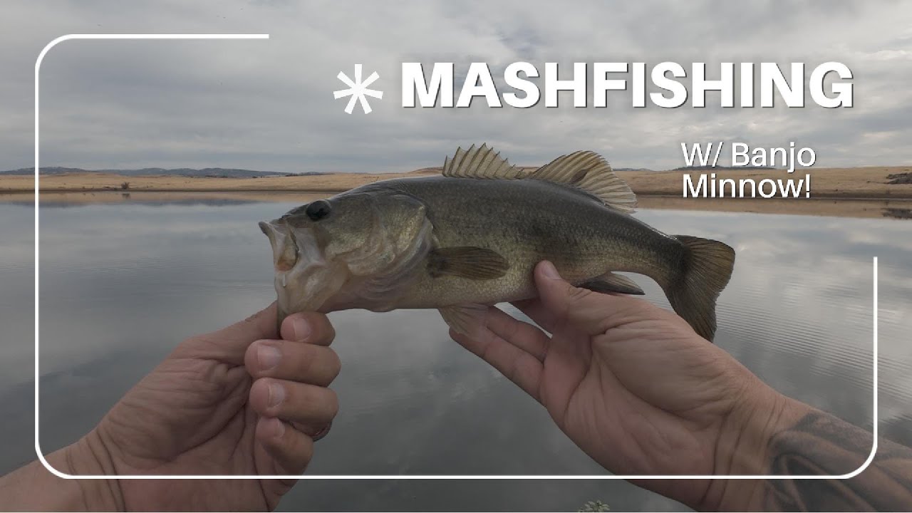 Catching fish with the Banjo Minnow! Lunch hour fishin. #fishing #bassfishing