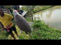 The Most UNBELIEVABLE Carp Bait!