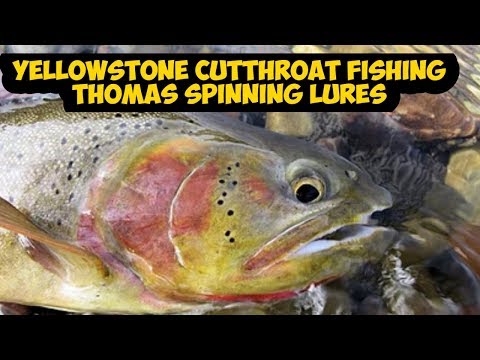 Fishing Trip: Lamar River Yellowstone National Park 2019