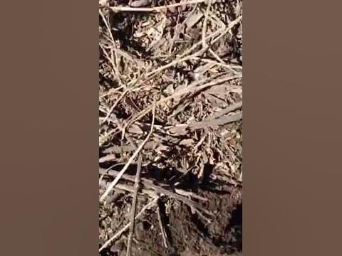Железяка. - YouTube