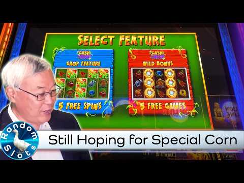 Cash Crop Slot Machine Still Hoping for Special Corn