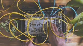 Celebrity synth garden 3: patching a tiny eurorack system - relaxing ambient synth to chill/study to Net Worth