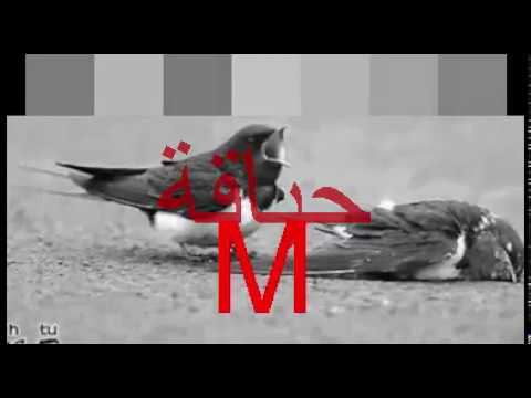 انا انسان بسيط جدا