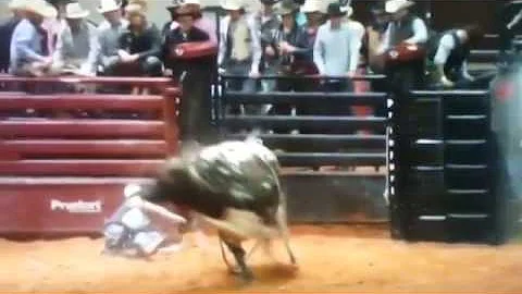 Randy Peters Bullfighting Promo