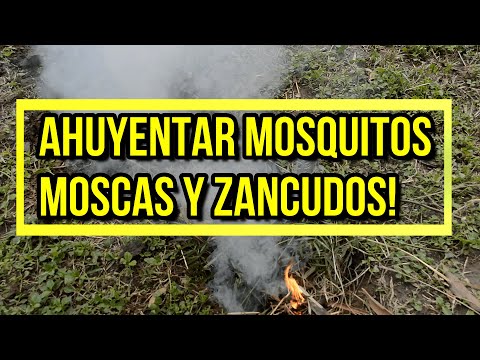 Video: Los Mejores Remedios Para Los Mosquitos En La Naturaleza: Anti Mosquitos Populares En La Calle Alrededor Del Perímetro, Repelentes De Mosquitos Efectivos Al Aire Libre