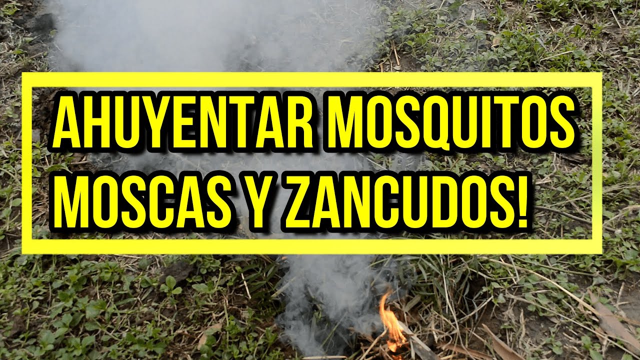 QUEMA ESTO y ESPANTA los Mosquitos o Zancudos al AIRE LIBRE, JARDÍN