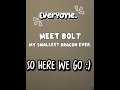 MEeT….BOLT. #mini #small #tutsoon! #dragonpuppet #Christian