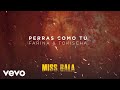 Farina, Tokischa - Perras Como Tú (Audio)