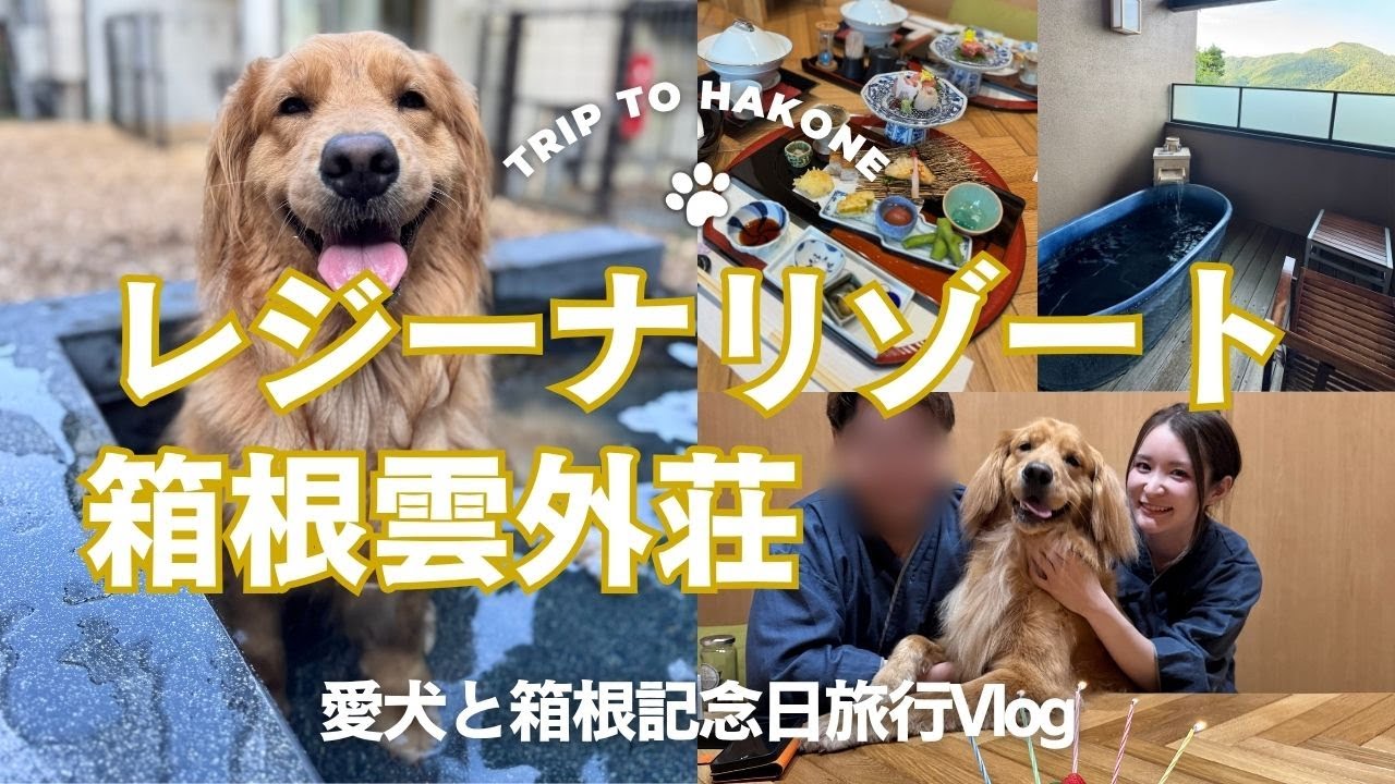 【犬連れ箱根旅行】大型犬と泊まれる高級宿で誕生日＆プロポーズ記念💍｜レジーナリゾート箱根雲外荘