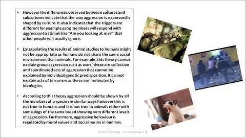 AQA A level Psychology Aggression