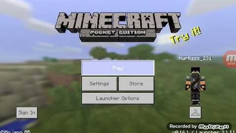 Minecraft PE Online lbsg server first person hacking