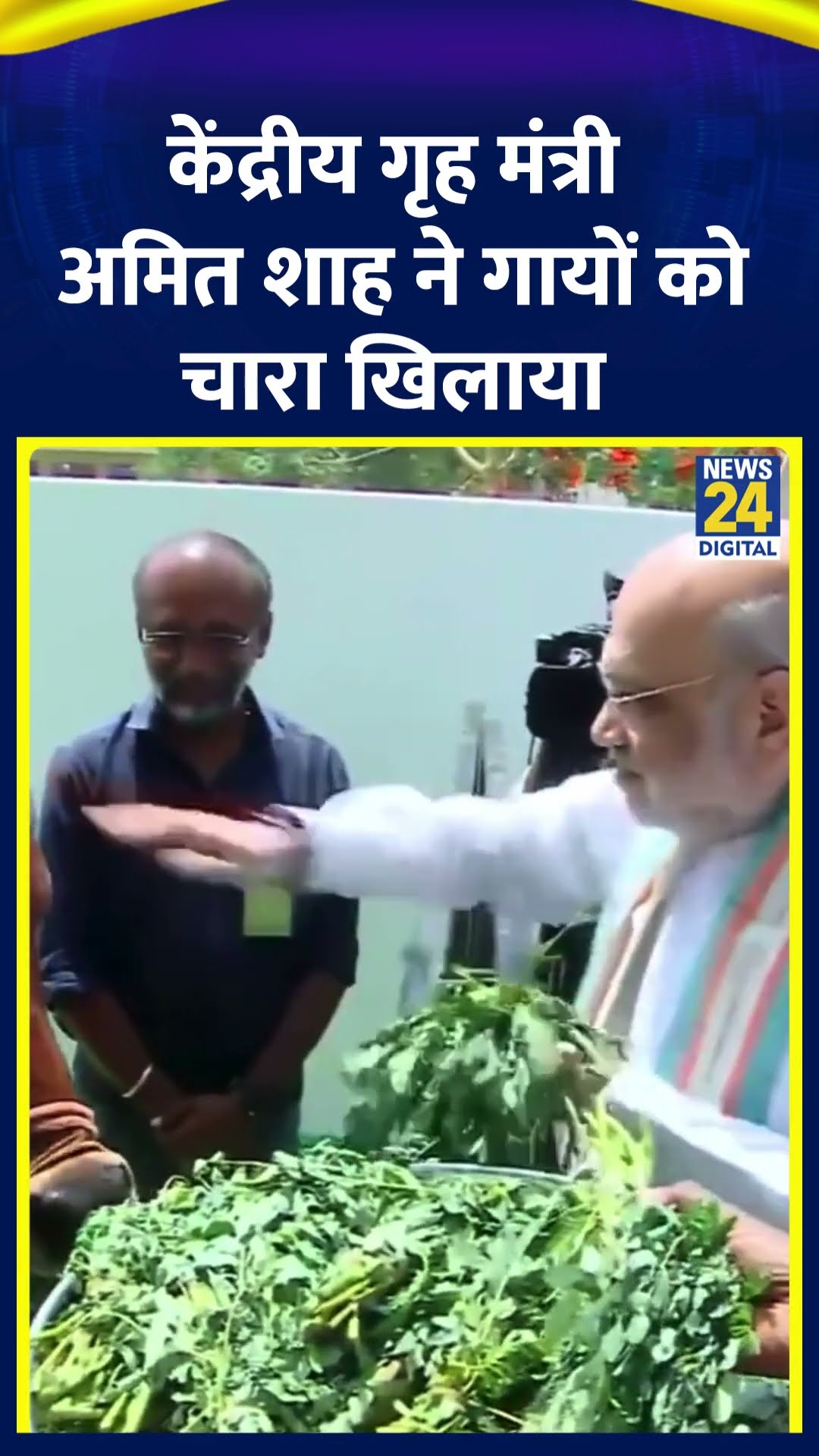 केंद्रीय गृह मंत्री Amit Shah ने गायों को चारा खिलाया | #amitshah #tamilnadu #coimbatore #shorts