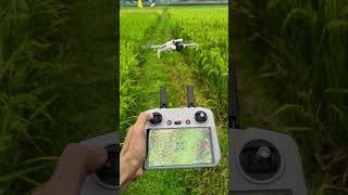 Drone shorts video #shortsfeed #shorts #drone #dji #djimini4pro #viral #viralshorts #trendingshorts