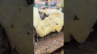 Liquid To Layer How Rubber Becomes The Perfect Pillow