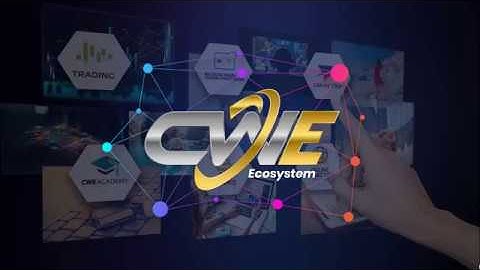 CWE 8 Minute Overview