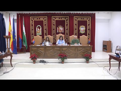 Pleno Municipal 29-11-24