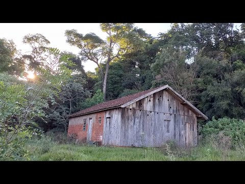 Vídeo: Na virada da história: casas abandonadas
