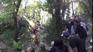 01083Burgat17