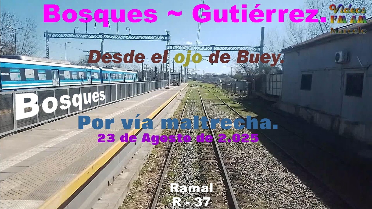 Bosques ~ Gutiérrez; Desde el ojo de buey: Por vía maltrecha.