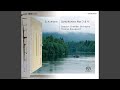Symphony No 4 In D Minor Op 120 I Ziemlich Langsam Lebhaft 1851 Revised Version Symphony No 4 In D Minor Op 120 I Ziemlich Langsam Lebhaft 1851 Revised Version