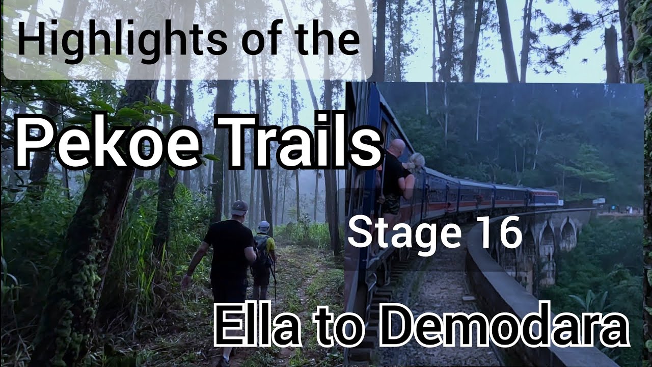 Highlights of the Pekoe Trails | Ella to Demodara | Nine Arch Bridge