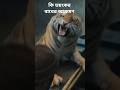 সুন্দরবনে যখন বাঘ আক্রমণ করে #tigerspotted #ytshorts #ytviral #cinematic #animals #tiger