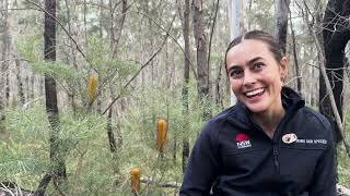 Saving our Species Meet the Expert - Maddy Newbery
