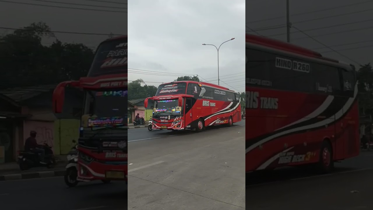 TELOLET BUS BRIS TRANS "BILQIS" BASURI V3 ‼️ 