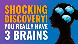 Shocking Discovery! You Really Have 3 Brains