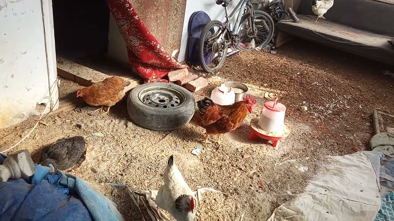 4 марта 2026 г.