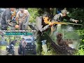 BERBURU TUPAI HUTAN: Tembakan Sempurna, Lewat Pos Pemeriksaan &amp; Memasak Daging Tupai