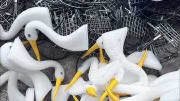 CẠM BÁN NGUYỆT BẪY CÒ VẠC CHIM CHUỘT HIỆU QUẢ LH 0984.800.966