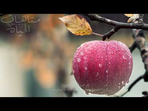 متاهات الحياة م ترجمة The Mazes Of Life عمر السندي