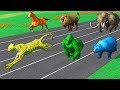 Learn wild animals running race for kids  learn animals names  sounds for children toddlers