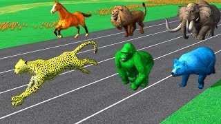 Learn Wild Animals Running Race Video For Kids - Learn Animals Names Sounds For Children Toddlers