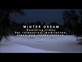 Soothing music and video for relaxation, meditation, sleep and stress relieve, a winter dream
